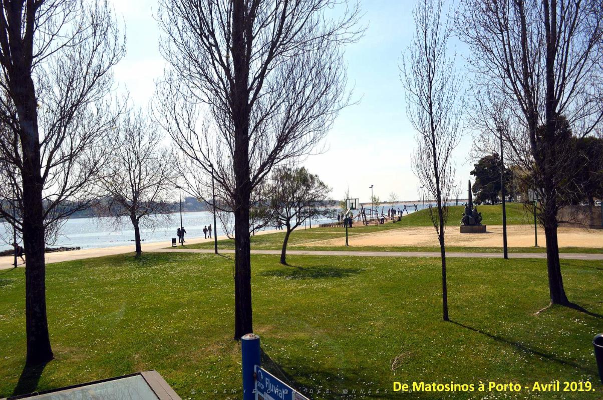 0824 - De Matosinhos a Porto.JPG